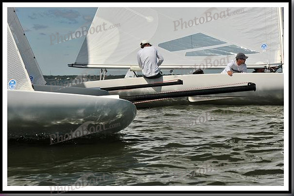 proof_2010_EScows_D 141