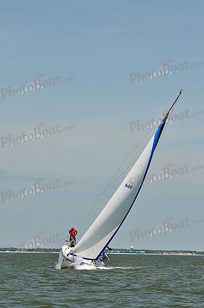 2013 Southern Bay Race Week D 1005