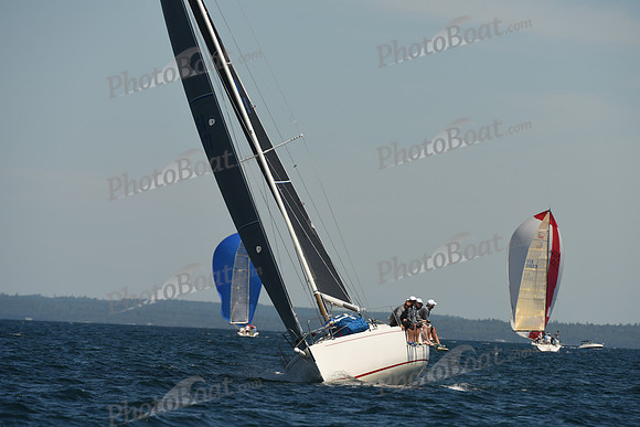 2016 Chester Race Week A_0081