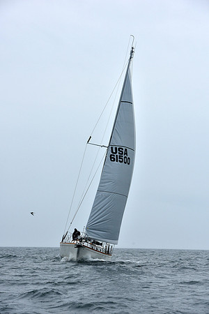 2019 Block Island Race Week G_0358