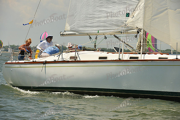 2015 Southern Bay Race Week A 482