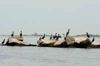 AMC2012_1 (16)
