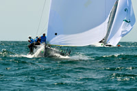 2016 NYYC Race Week A 442