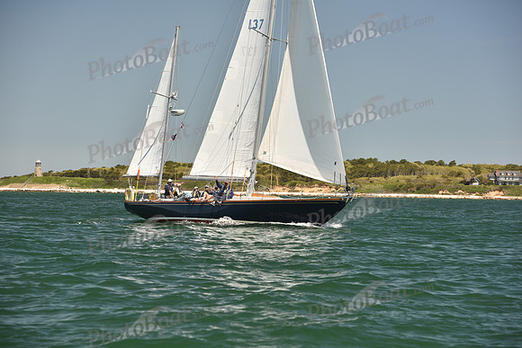 2024 Figawi 0242