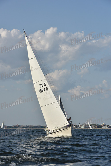 2019 ALIR_1676