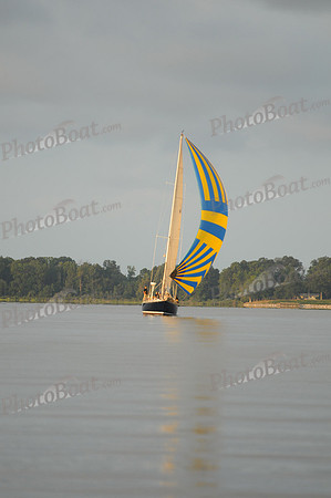 2011 Gov Cup C 029