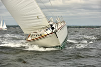 2018 Vineyard Race A_0216