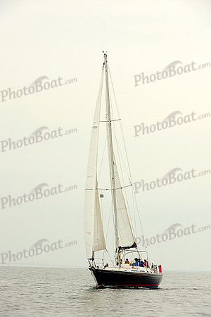 2014 Gov Cup A 990