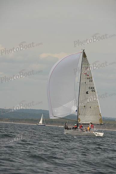 2016 Chester Race Week C_0900