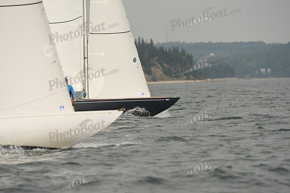 2016 Chester Race Week D_0458