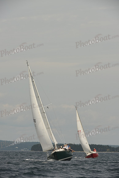 2016 Chester Race Week C_1260