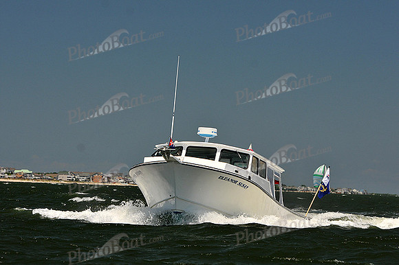 2014 Southern Bay Race Week C 2212