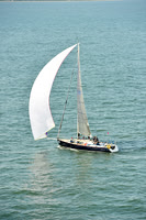 2015 Charleston Race Week C 495