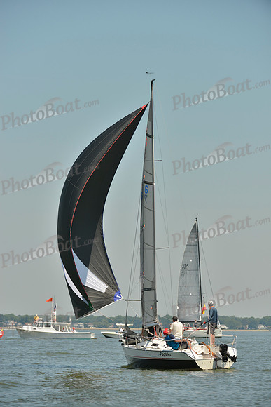 2017 Southern Bay Race Week C_0595