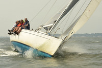 2015 Vineyard Race A 1173