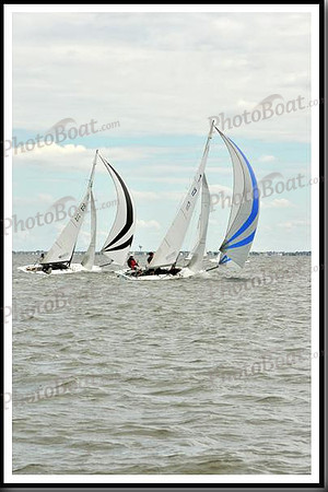 proof_2010_EScows_A 682