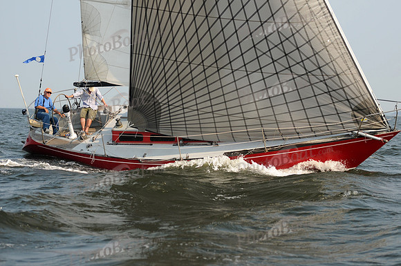 2011 Vineyard Race B 348