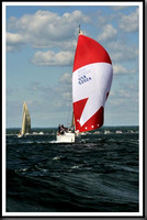 proof_2010_Vineyard_Race_0589
