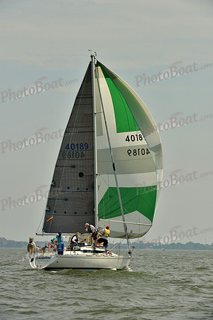 2016 Southern Bay Race Week F_0350