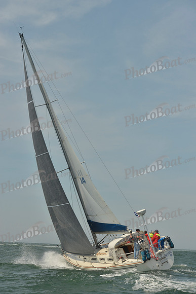 2018 Figawi_0978