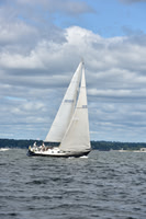 2021 Vineyard Race A 0142