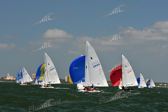 2012 Thistle Midwinters C 355