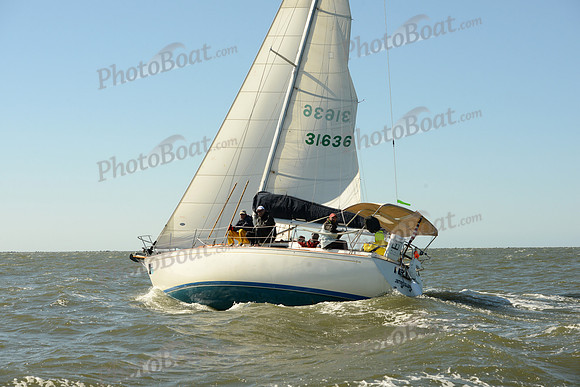2016 Charleston Race Week E_0284