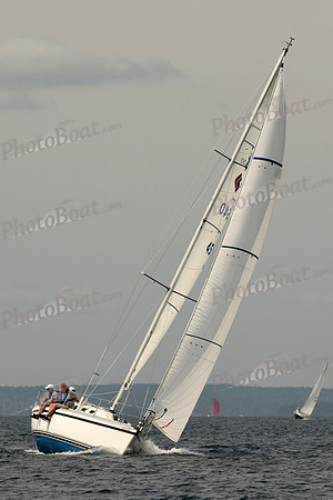 2016 Chester Race Week C 615