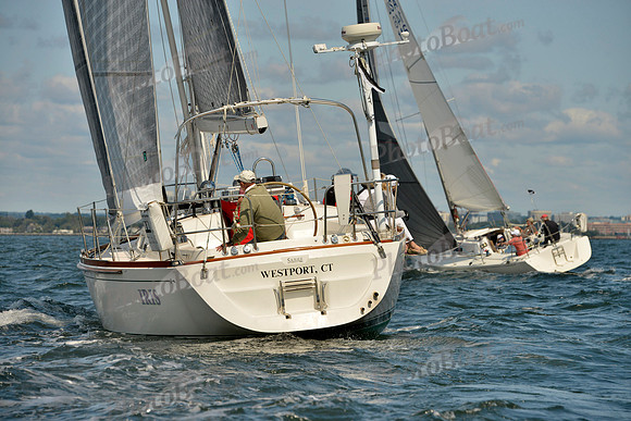 2017 Stamford Denmark Race_0724