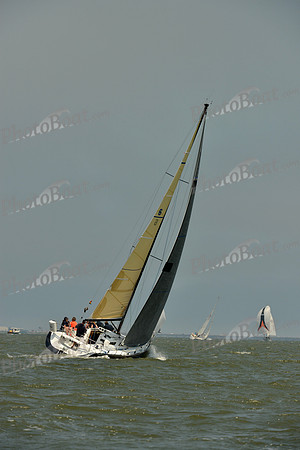 2016 Southern Bay Race Week B_0007