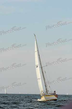 2012 Gov Cup A 1252