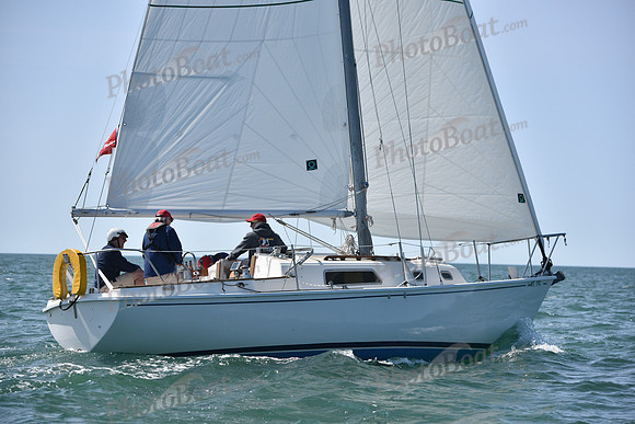 2019 Figawi_0114