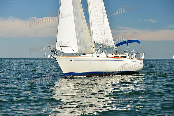 2015 Cape Charles Cup C 347