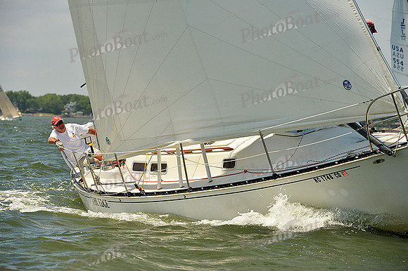 2015 Southern Bay Race Week A 1232