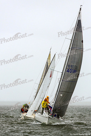 DBP_1183