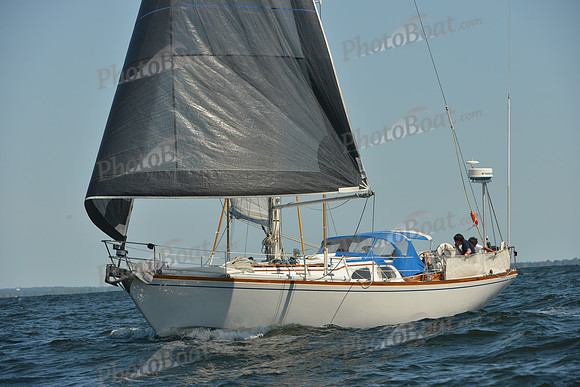 2015 Vineyard Race C 345