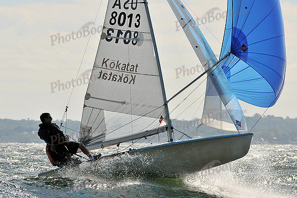 2013 HPDO A 439