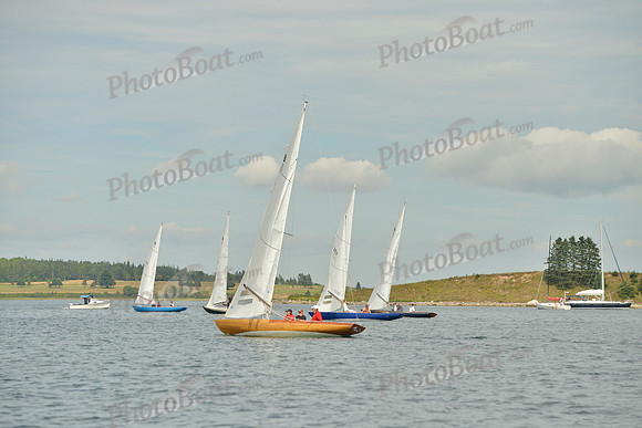2016 Chester Race Week G_0057