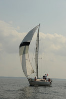 2013 Vineyard Race A 1950