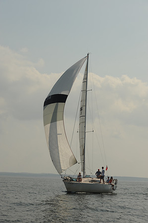 2013 Vineyard Race A 1950