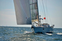 2017 Vineyard Race A_0847