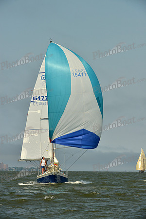 2016 Southern Bay Race Week B_0635
