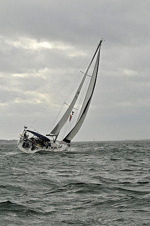 2009 J105 NAs D 1252