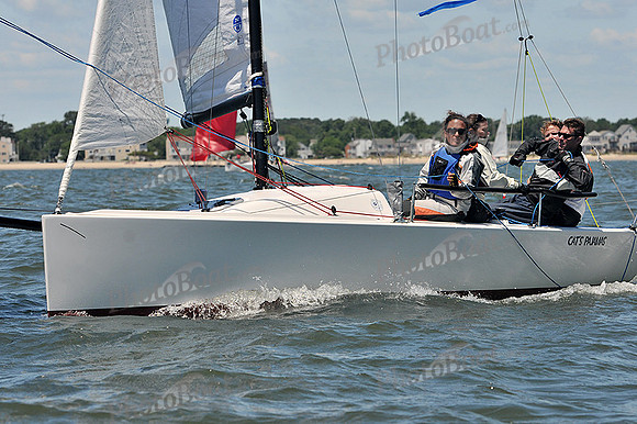 2014 Southern Bay Race Week C 1703