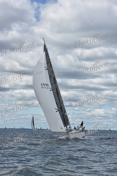 2021 Vineyard Race A 0487