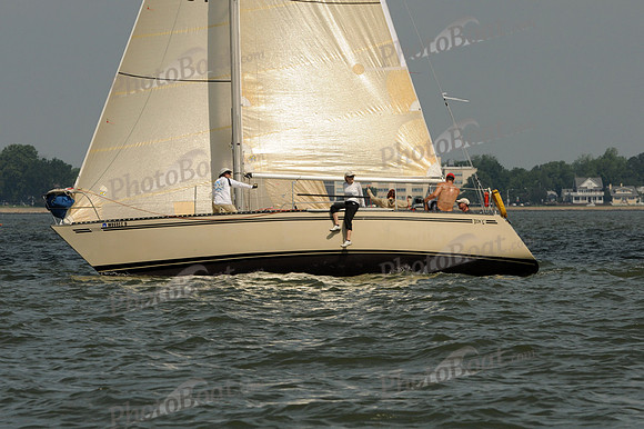 2012 Southern Bay Race Week A 339