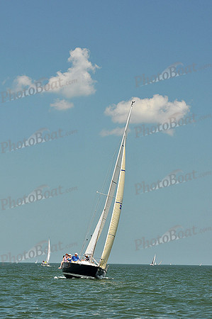2013 Southern Bay Race Week C 2331