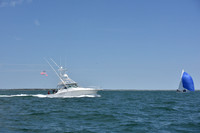 2019 Figawi_1462