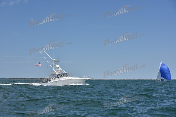 2019 Figawi_1462