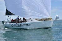 2019 Figawi_1647